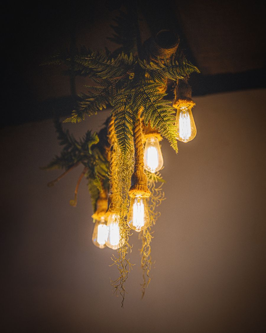 Lâmpadas de filamento acesas em luminária pendente